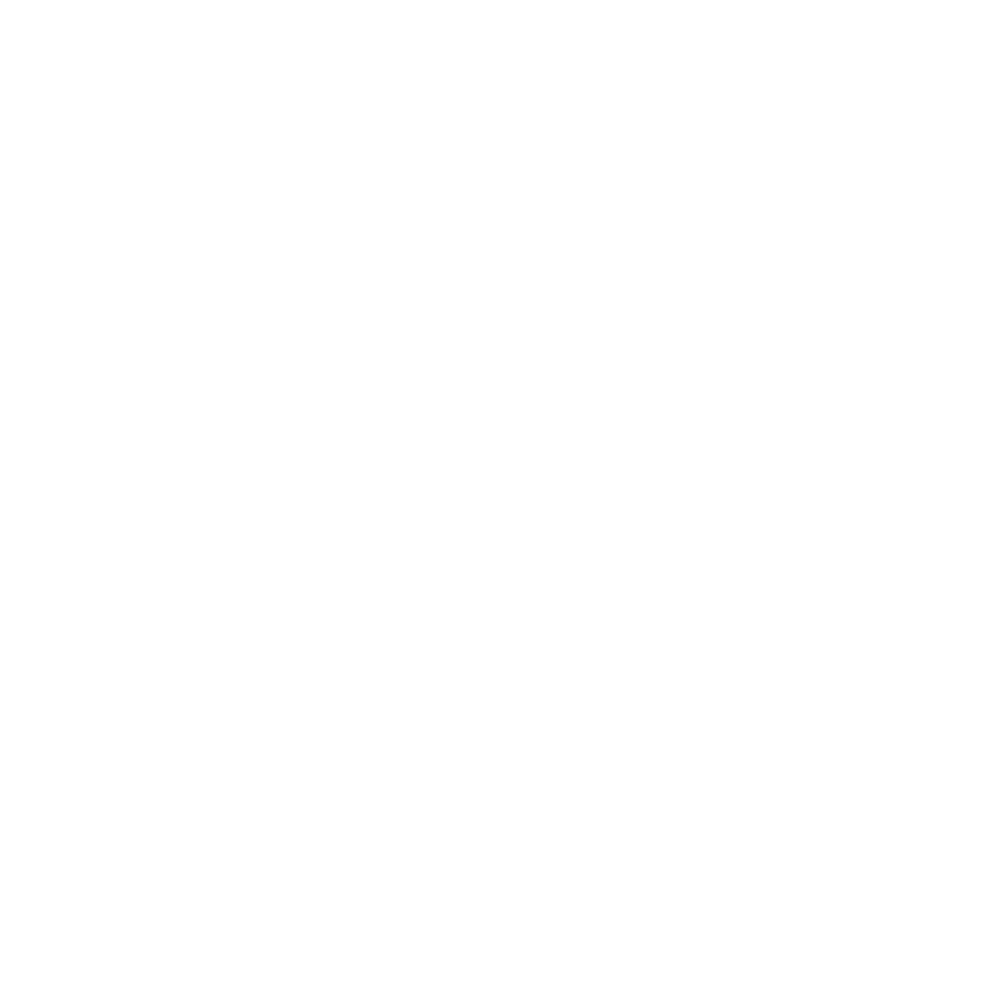 White Facebook PNG