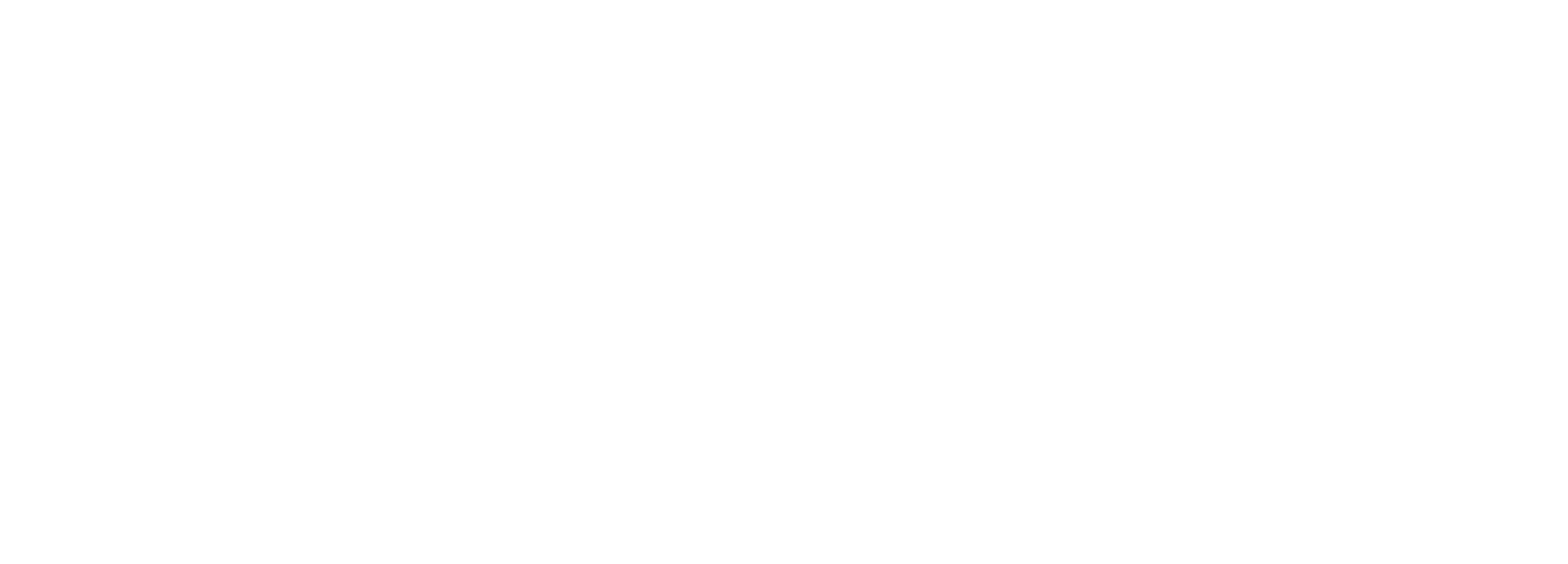 Nike Logo White