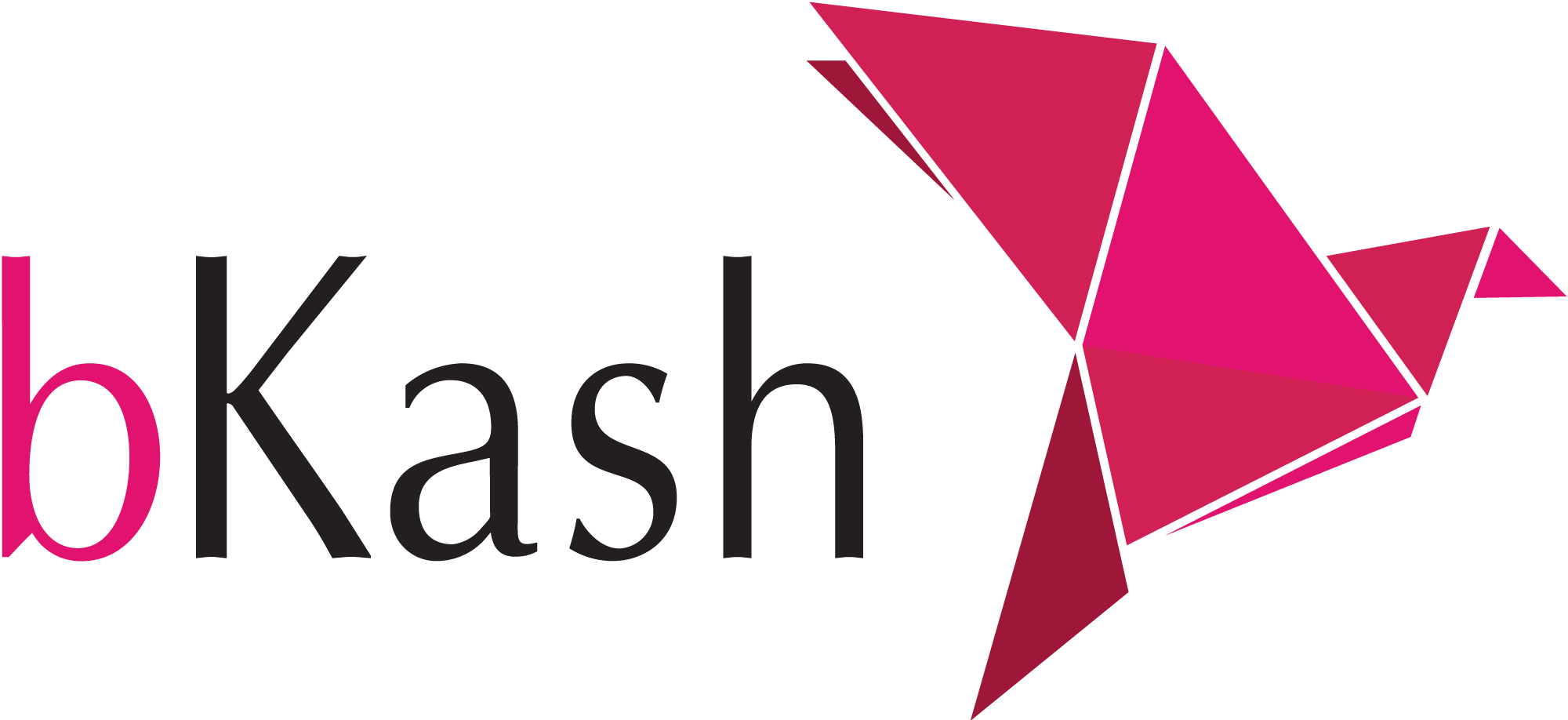 bKash Logo PNG