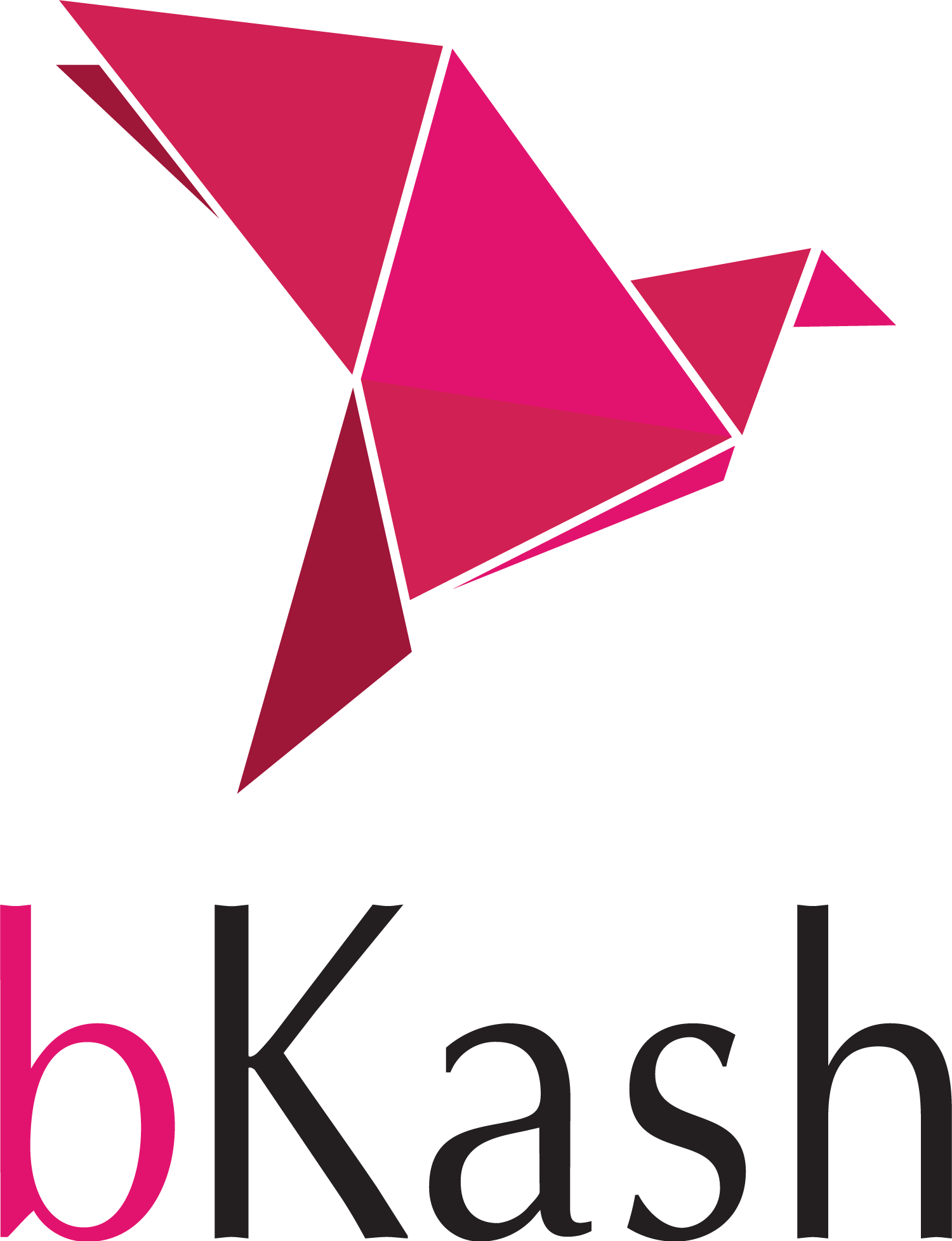 bKash Logo PNG Download